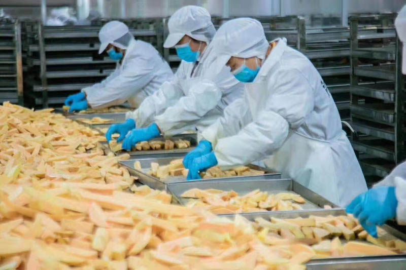 秦记大部分产品已经投入生产